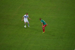 姆巴佩爆冷击败皇家马德里，赛况扑朔迷离引爆全场！-开云入口注册